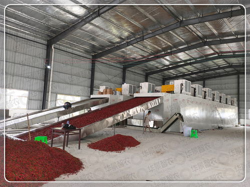 如何設(shè)置辣椒烘干機(jī)溫度