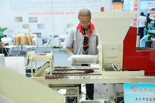 抓好行業(yè)標(biāo)準(zhǔn) 研發(fā)新型基質(zhì)為黑木耳產(chǎn)業(yè)化發(fā)展提速 中國食品報(bào)網(wǎng)