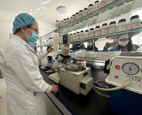 寧夏化妝品風(fēng)靡俄羅斯市場，新型汽輪機研發(fā)與銷售齊頭并進