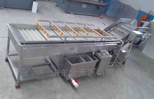 秋意正濃公司 引領產業革新，新型果蔬清洗風干流水線與先進汽輪機同步上市